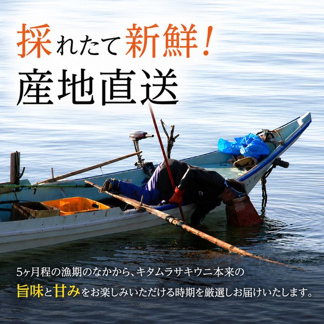 北海道 礼文島産 採れたて ミョウバン不使用 キタムラサキウニ 塩水パック 100g(50g×2個)［株式会社やまじょう］【 うに ウニ 雲丹 生うに 塩水うに キタムラサキウニ 滅菌海水 海鮮 うに丼 濃厚 甘み 】