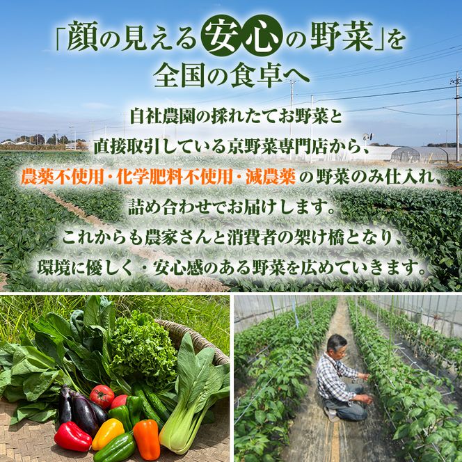 野菜 お米 【 定期便 4回 】 詰め合わせ セット 無農薬 野菜セット 米 2kg 栽培期間中農薬不使用 2キロ 京都 京野菜 丹波野菜 京都やおよし 産直 新鮮 オーガニック 腸活 タイパ 詰めあわせ 食育 健康 ギフト