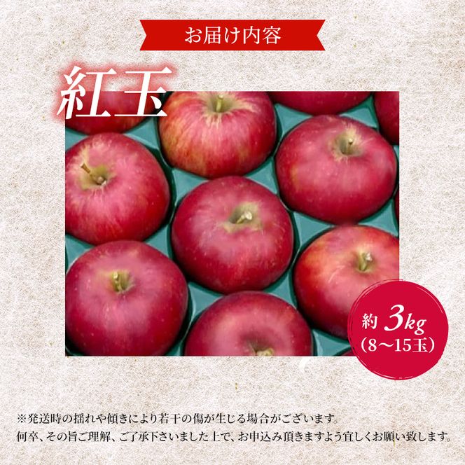 サイキチ農園 紅玉 約 3kg (8～15玉) 青森県鰺ヶ沢町産 りんご リンゴ  フルーツ 果物 果物類 林檎 