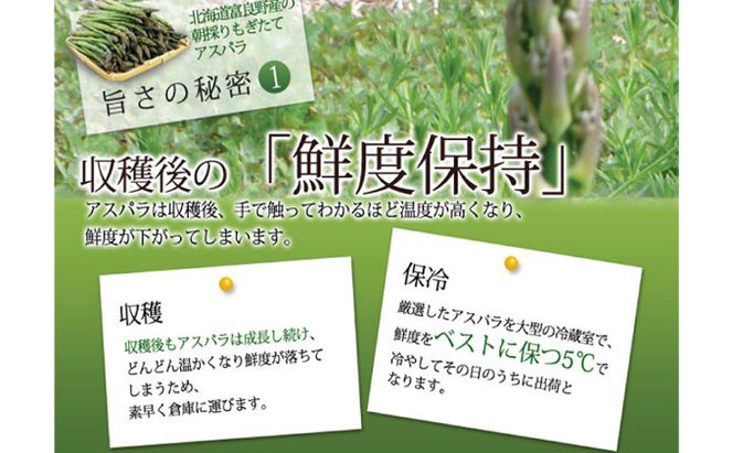 【2027年春発送】富良野産 訳あり グリーンアスパラ【1kg】65本前後 サイズ混合 野菜 アスパラガス 大容量