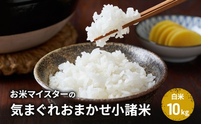 【古久庄 村松商店】お⽶マイスターの気まぐれお任せ⼩諸⽶（10kg）信州 長野 ごはん ご飯 コメ コシヒカリ あきたこまち つきあかり 風さやか ひとめぼれ ゆうだい24 ブレンド米