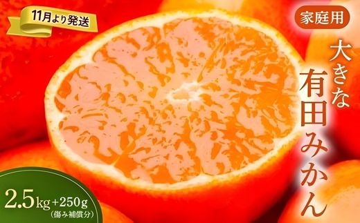 家庭用 大きな有田みかん2.5kg+250g（傷み補償分）