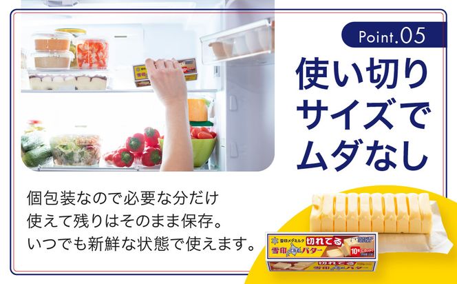 【3か月 定期便】切れてる 雪印 北海道 バター（10g×10個入）×10個【 乳製品 バター 雪印 朝食 ギフト　料理用 キャンプ 標茶町 北海道 】 016641_AX002