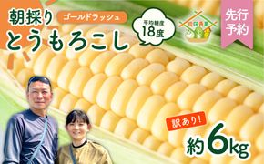【先行予約 2026年6月中旬以降発送 】【 令和8年産 】【 訳あり 】 朝採り とうもろこし （ ゴールドラッシュ ） 約 6kg トウモロコシ スイートコーン コーン 野菜 産地直送 期間限定 岩田さん 昼めし旅 [AX021ya]