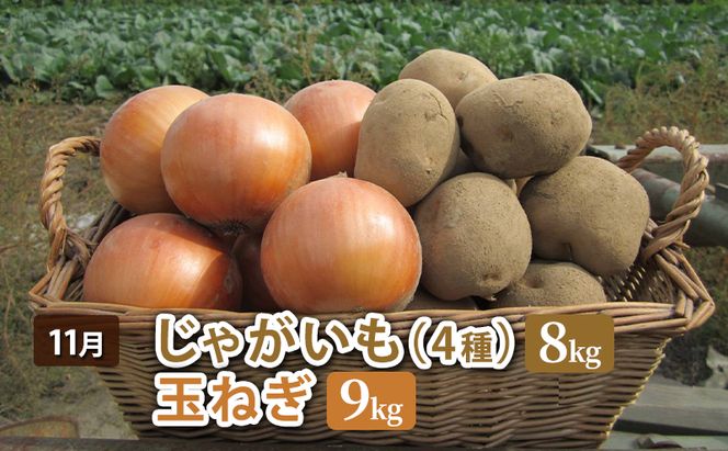 十勝幕別 北の畑のオーナーさん 人気の旬野菜 年4回定期便［2026年5月出荷開始］北海道ホープランド農場 【 アスパラ とうもろこし コーン じゃがいも ジャガイモ 玉ねぎ 野菜 定期便 】