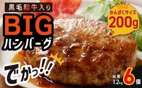 005A657 黒毛和牛入り BIGハンバーグ 200g×6個