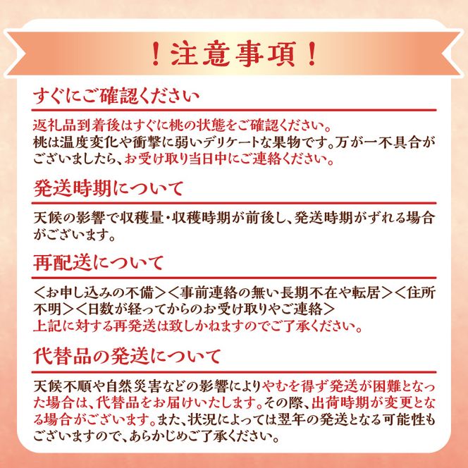 【2026年産 先行予約】＜北海道余市産＞訳アリ 桃「あかつき」1.5kg（6～10玉）_Y103-0060
