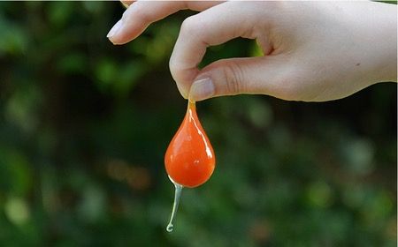 【全6回定期便】【 つまんでご卵 】糸島 ロールケーキ 2種 セット 糸島 / 緑の農園 卵 たまご 菓子 焼き菓子 ケーキ [AGA022] 詰め合わせ 焼き菓子 ギフト お菓子 人気 お取り寄せ