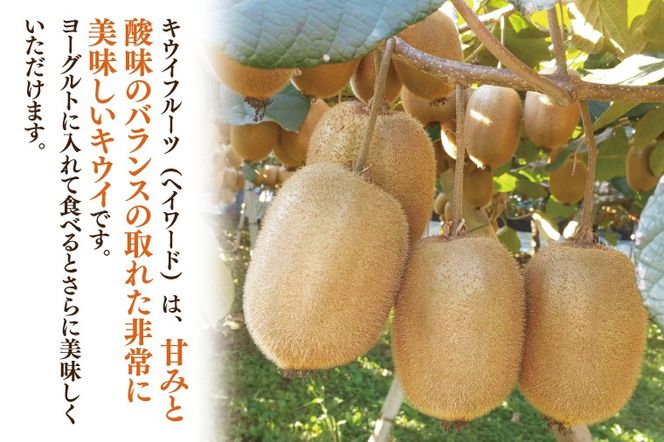 【先行予約】【12月上旬より発送開始】春日部完熟キウイ4kg【埼玉県 春日部市 キウイ キウイフルーツ 4kg 完熟 国産 フルーツ 果物 ヘイワード】(BG002）