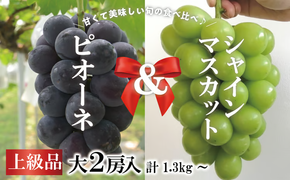 【2026年先行予約】ピオーネ＆シャインマスカット 上級品 特大2房 /計1.3kg～ (岡山県産) 【KF-B087-02】