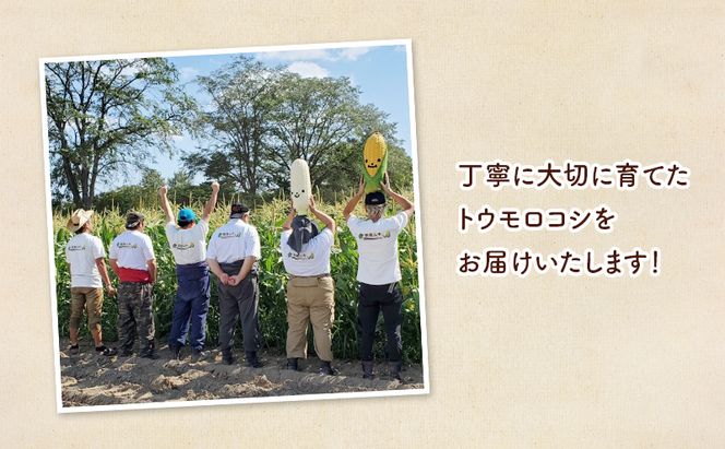 北海道 幕別町産 中山農園 朝どれ とうもろこし 3種 10本 （1本350g以上） [ 北海道産 スイートコーン 野菜  十勝 幕別 新鮮 テレビで紹介 ]
