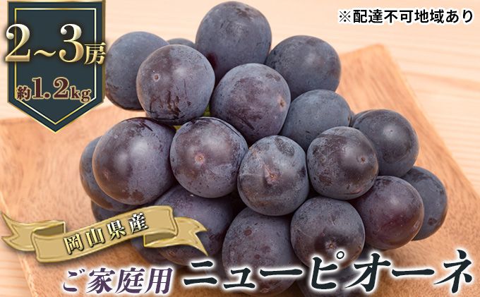 ぶどう 2026年 先行予約 ご家庭用 ニュー ピオーネ 2〜3房 合計約1.2kg ブドウ 葡萄 岡山県産 国産 フルーツ 果物 ギフト