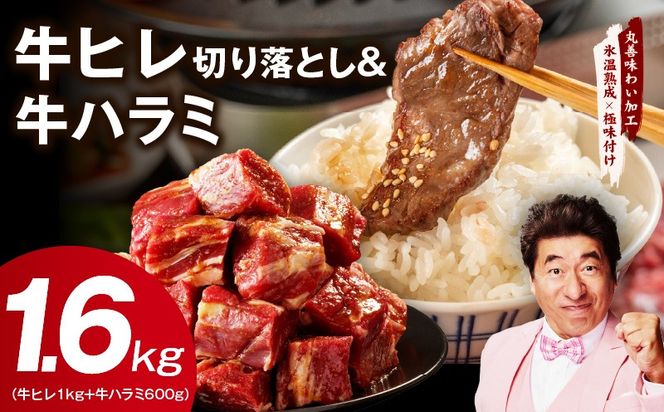 mrz0425 【氷温熟成×特製ダレ】牛ヒレ 1kg＋牛ハラミ 600g 合計1.6kg【スピード発送 味付き 訳あり サイズ不揃い 小分け】