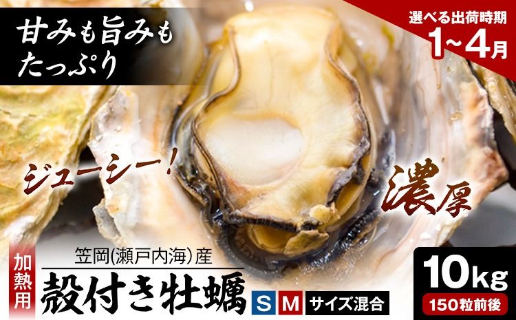 笠岡産 (瀬戸内海産) 殻付き牡蠣 (加熱用) S・Mサイズ混合 10kg 150粒前後[出荷時期が選べる]1月 2月 3月 4月 岡山県 笠岡市 かき カキ 牡蠣 生牡蠣 瀬戸内海産 殻付き---K-47-1c---