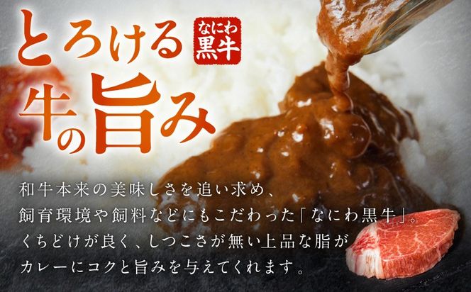 G3706 射手矢農園 特製カレー 5箱セット【本格スパイス たまねぎ なにわ黒牛 時短 冷凍カレー 冷凍食品 保存食 常備食 ピリ辛】