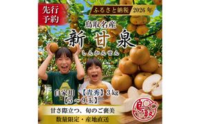 三ツ田農園 新甘泉(青秀)3kg【8月中旬以降お届け】 313726_CY012