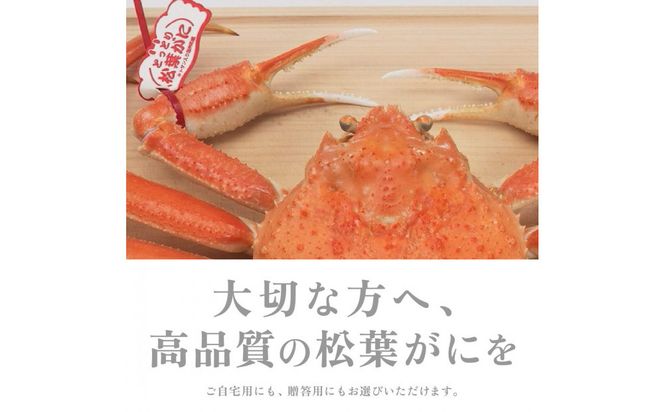 1057.【2027年1月～2027年3月発送】特撰 松葉がに（なま）【訳あり】500g超のサイズ 食べ応えあり 2杯 313726_BS035