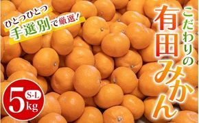 こだわりの和歌山県産 有田みかん ５kg（S～Lサイズおまかせ） ひとつひとつ手選別で厳選！生産者から直送 【2024年11月下旬～2025年1月中旬頃に順次発送分】/ みかん フルーツ 果物 くだもの 有田みかん 蜜柑 柑橘 【hdm005】