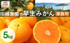 【先行予約】【家庭用】早生みかん 5kg ※離島への配送不可 （2026年11月10日より順次発送） IKTA040
