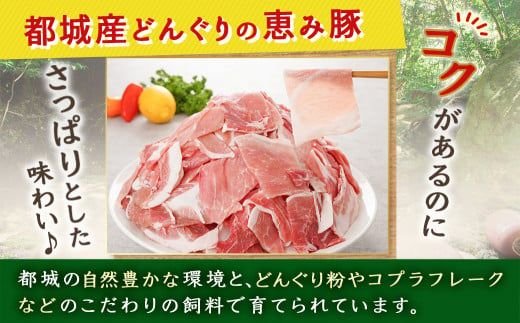 「どんぐりの恵み豚」こま切れ3.6kg_MJ-1115_(都城市) 都城産 こま切れ どんぐりの恵み豚 どんぐり粉 コプラフレーク こだわり 「コク」「サッパリ」野菜炒め 豚汁 豚肉