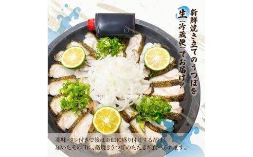 土佐の魚とお酒のおきゃくセット B（ウツボタタキコース）藁焼きウツボタタキ（タレ・薬味付）約200g 2～3人前 わら焼き うつぼ 珍味 純米吟醸生原酒 CEL-24 高知県 土佐市【さかなの森澤マル祐】[BQAM017]