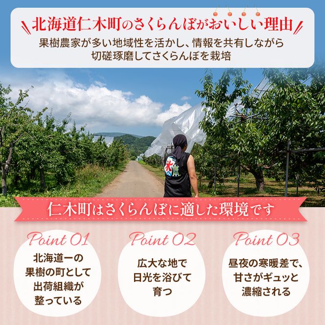先行受付 さくらんぼ 佐藤錦 800g（200g×4）M-Lサイズ混合  サクランボ チェリー フルーツ 果物 果物類  北海道 仁木町 仁木 [大塚農園]