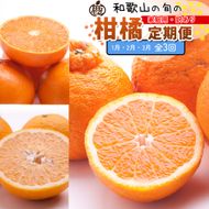 家庭用 柑橘定期便M（1～3月）全3回 ［IKE310］ 303446_BB90219