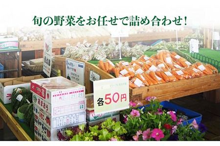 【全6回定期便】福岡県糸島産 旬の野菜盛り合わせセット 糸島市/ファームパーク伊都国 [AWC008] 旬 季節 野菜 詰め合わせ セット 糸島野菜 直売所 定期便