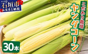 【先行予約2025年12月-2026年4月】 1番遅くて1番早い！？ 朝採れプレミアムヤングコーンを皮付きのまま30本お届け！！