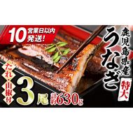 【0204356a-10E】＜10営業日以内発送＞東串良町のうなぎ蒲焼(無頭)(3尾・計約630g・タレ、山椒付)うなぎ 高級 ウナギ 鰻 国産 蒲焼 蒲焼き たれ 鹿児島 ふるさと 人気 スピード発送 スピード便 【アクアおおすみ】