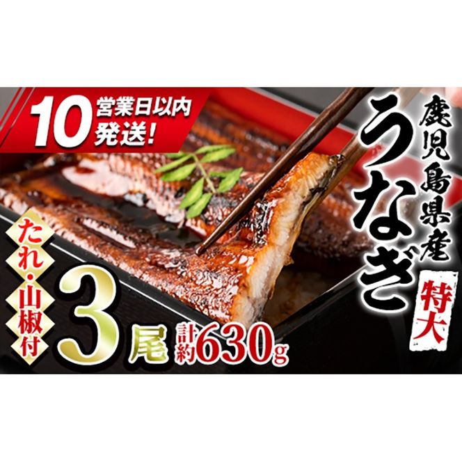 【0204356a-10E】＜10営業日以内発送＞東串良町のうなぎ蒲焼(無頭)(3尾・計約630g・タレ、山椒付)うなぎ 高級 ウナギ 鰻 国産 蒲焼 蒲焼き たれ 鹿児島 ふるさと 人気 スピード発送 スピード便 【アクアおおすみ】
