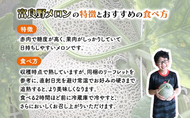【2027年秋発送】厳選ふらのメロン [秋メロン] 赤肉 1玉（2.0～2.5kg）糖度15度以上 [ファームまつもと] メロン 赤肉メロン フルーツ 果物 新鮮 甘い 贈り物 ギフト ブランドメロン 秋 北海道 富良野