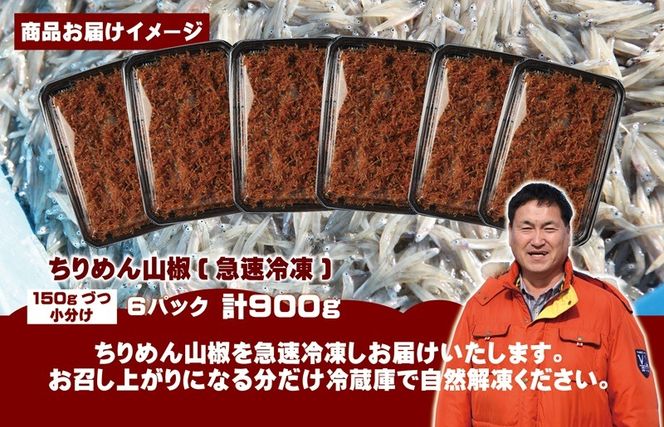 G2181 【スピード発送】ちりめん山椒しらす 900g【小分け 150g×6P シラス しらす sirasu 海鮮 人気 おすすめ 産地直送】