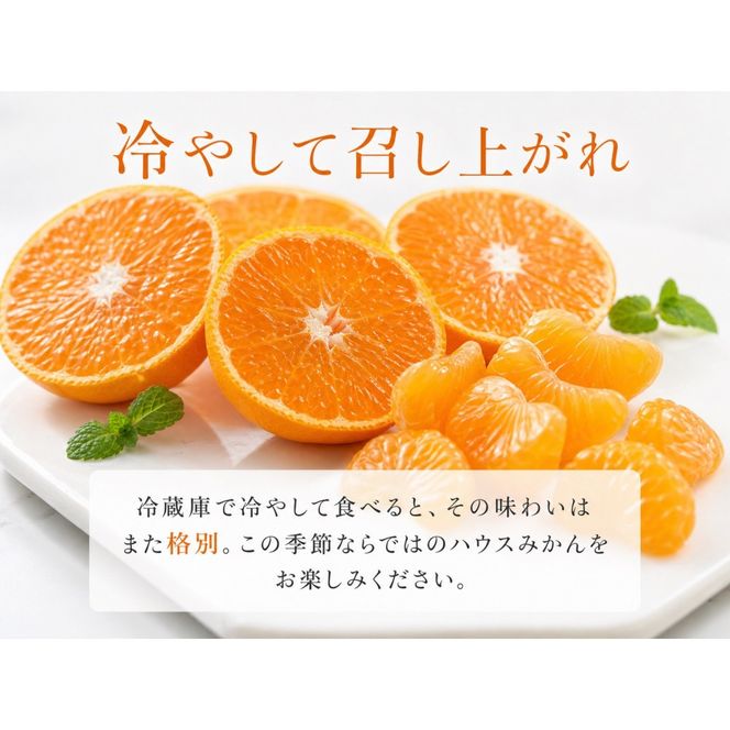 赤秀品 紀州和歌山ハウスみかん 2.5kg［2027年6月末頃～2027年7月中旬頃に順次発送］［UT87w］AN006