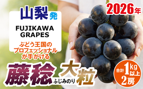 《圧倒的な大粒品種！》上級品をお得に 【藤稔（ふじみのり）】　1.0kg以上（2房）　【2026年発送分 先行予約】- FUJIKAWA GRAPES -