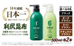 【色が選べる！4本セット】［白髪用］ 利尻カラーシャンプー 大容量サイズ＋利尻カラーケアコンディショナー 大容量サイズ ［無添加］ 糸島市 / 株式会社ピュール ヘアケア シャンプー [AZA072] シャンプー 白髪染め カラーシャンプー コンディショナー 無添加 ノンシリコン