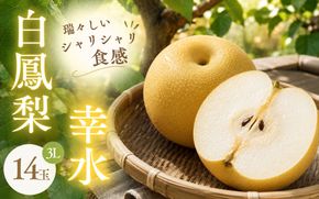 白鳳梨(幸水) 3L 14玉 ※お届けは8月中旬以降の予定です【hkns0003】