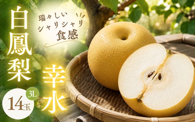 白鳳梨(幸水) 3L 14玉 ※お届けは8月中旬以降の予定です【hkns0003】