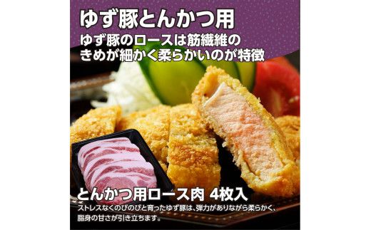 【CF-R7hbk】GRS003　【高知のブランド豚/ゆず豚】脂身が甘いジューシーとんかつ4枚入り＆ソーセージ2P（約1kg）- トンカツ 豚 カツ ソーセージ セット 詰め合わせ 豚肉 肉 国産 ロースとんかつ ギフト・熨斗対応可 贈答