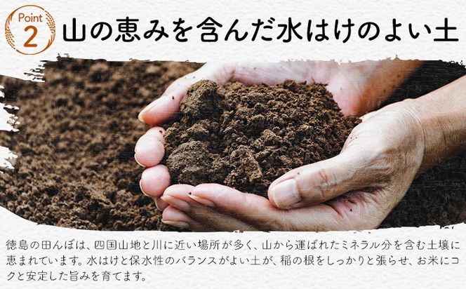 ★先行予約★白米 徳島ふるさと応援米 選べる 5kg 10kg 20kg《2026年11月以降順次出荷》 生活応援企画 米 精米 送料無料 徳島県 佐那河内村 白米 ブレンド米 こめ コメ お米---sanagouchi_lcl_90_5kg---