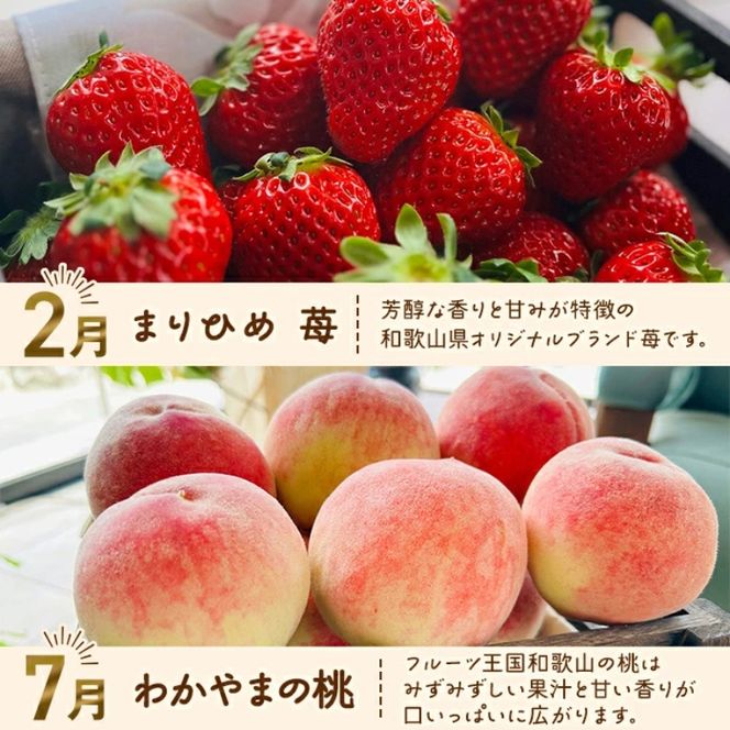 わかやま 旬の フルーツ 定期便 【L】全4回 / 有田みかん まりひめ いちご 桃 柿 ※北海道・沖縄・離島への配送不可【ard-tkb911】