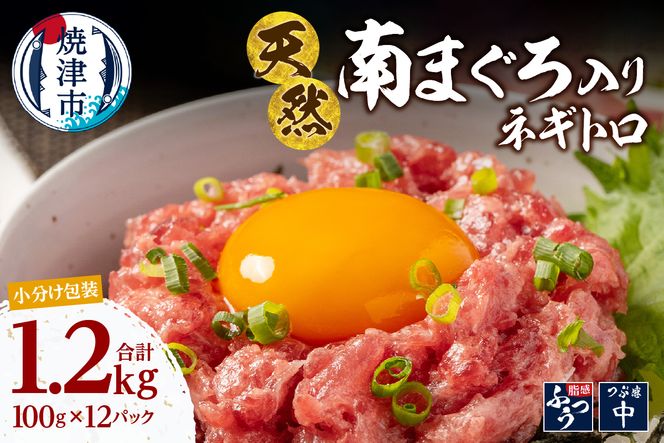 a14-112　南鮪入り 焼津 海の極 ネギトロ 小分け 計1.2kg 100g×12パック