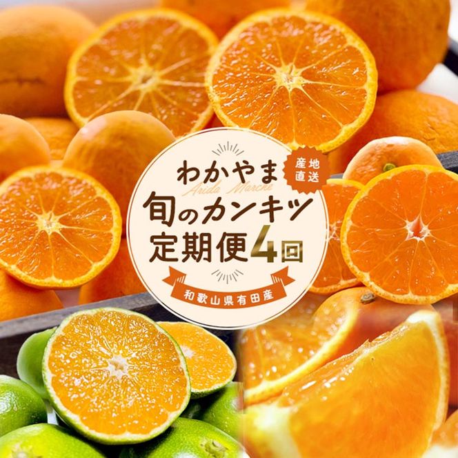 【定期便】〈3・5・9・11月 全4回〉わかやま旬のカンキツ【S】（春の柑橘 ・初夏の柑橘・青切りみかん・完熟みかん）◆ ｜フルーツ ふるーつ 果物 くだもの 詰め合わせ 果物定期便 オレンジ みかん 国産 産地直送 美浜町 ※北海道・沖縄・離島への配送不可