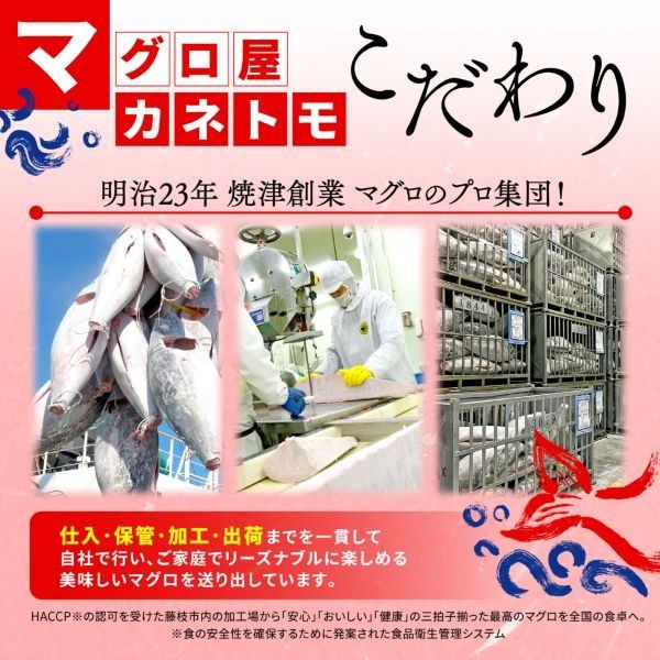 【オンライン決済限定】 【2024年12月配送】 本まぐろ 大とろ 中とろ 赤身 詰合せ 約300g 年内配送 本鮪 本マグロ 食べ比べ 大トロ 中トロ 赤身 解凍 鮪 漬け マグロ ユッケ 海鮮 ふるさと人気