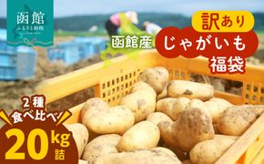 じゃがいも 福袋 2種類 20kg きたあかり 男爵いも メークイン とうや キタカムイ 北海道産 じゃがいも Mサイズ　2Lサイズ 訳あり 野菜 新鮮 国産 食品 お取り寄せ お取り寄せグルメ 北海道 函館市 送料無料_HD206-003