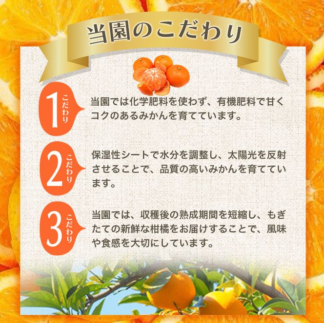 【2027年1月発送予約】 ご家庭用 こだわりの有田みかん 約5kg＋150g(傷み補償分)  光センサー選別 農家直送 / みかん ミカン 有田みかん 温州みかん 柑橘 フルーツ 果物 くだもの 旬 人気 みかん先行予約 家庭用 和歌山【nuk160-01B】