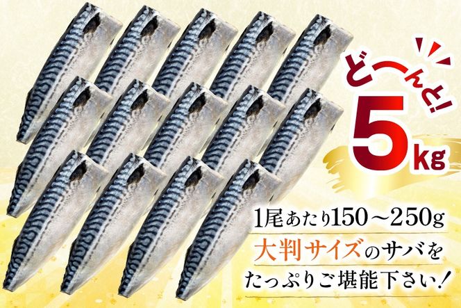 訳あり 塩サバ フィレ 5kg [足利本店 宮城県 気仙沼市 20565496] 魚介類 魚 海鮮 大容量 サバ さば 鯖 サバフィレ サバフィーレ 鯖フィレ 切り身 冷凍 訳アリ わけあり トロサバ 減塩 とろさば