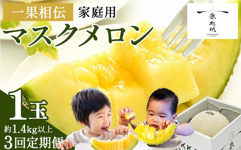 メロン 定期便[3回定期便]一果相伝マスクメロン 家庭用 1玉入り- めろん 青肉 自宅用 ジューシー 果汁 至福 美味しい 甘い あまい 篤農 産地直送 高知県 香南市 常温 Wtn-0038