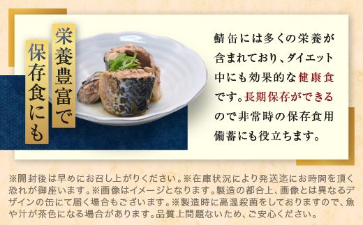 さば缶詰 水煮 190g 24缶 セット 常温 常温保存 国産 鯖 サバ 缶詰 さば缶 サバ缶 鯖缶 缶詰め かんづめ 保存食 非常食 長期保存 長期保管 備蓄 魚介 魚介類 冷凍 簡単調理 簡単料理 おかず