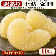 土佐文旦 訳あり 10kg 家庭用 サイズおまかせ M～4L 日本ギフト大賞受賞 文旦発祥の地 園主こだわり 規格外 不揃い 大玉 小玉 高知県土佐市産 高知県産 国産 10キロ ぶんたん みかん 柑橘類 高級フルーツ 果物 わけあり 産地直送 お取り寄せ 先行予約 やの一果彩[BQAC024]
